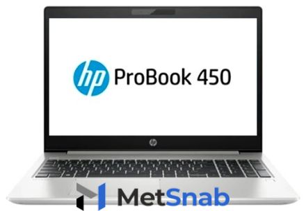 Ноутбук HP ProBook 450 G6 (8MG38EA) (Intel Core i7 8565U 1800 MHz/15.6"/1920x1080/8GB/1256GB HDD+SSD/DVD нет/NVIDIA GeForce MX250 2GB/Wi-Fi/Bluetooth/DOS)