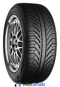 Автомобильная шина MICHELIN Pilot Sport A/S Plus 255/45 R19 100V летняя