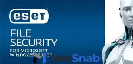 Защита файловых серверов Eset File Security для Microsoft Windows Server для 2 серверов