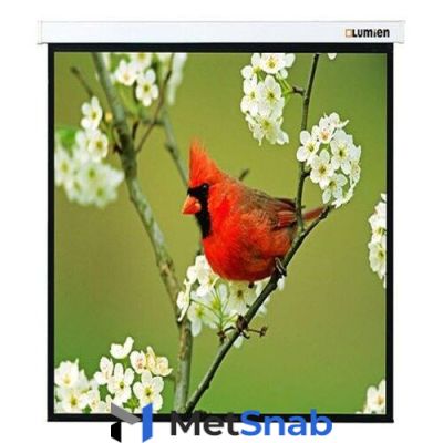 Экран LUMIEN Master Picture LMP-100129, 220х220 см, 1:1, настенно-потолочный