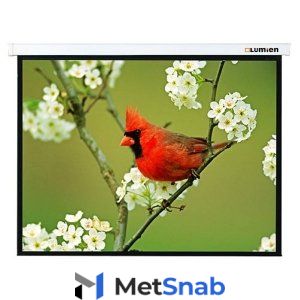 Настенный проекционный экран Lumien Master Picture 244x244 см