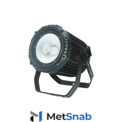 Прожектор PAR LED INVOLIGHT COBPAR100TW