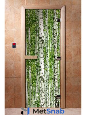Стеклянная дверь для бани с фотопечатью A084 1900х700 мм