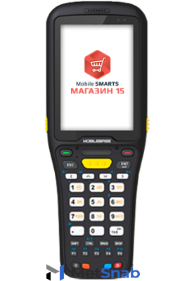 Комплект MobileBase DS5 Android «Магазин 15, полный» (RTL15C-OEM-DS5A)