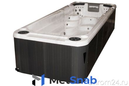 Passion Spas (Fonteyn) Aquatic 2 Swimspa спа бассейн (600 x 228 см) (100008)