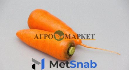Морковь абако F1 2,2-2,4 (1 000 000 семян) Seminis