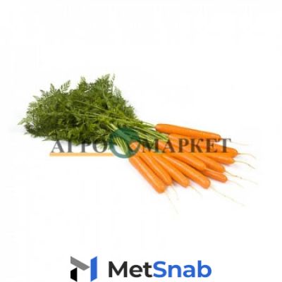 Морковь джерада F1 1,6-1,8 (25 000 семян) Rijk Zwaan