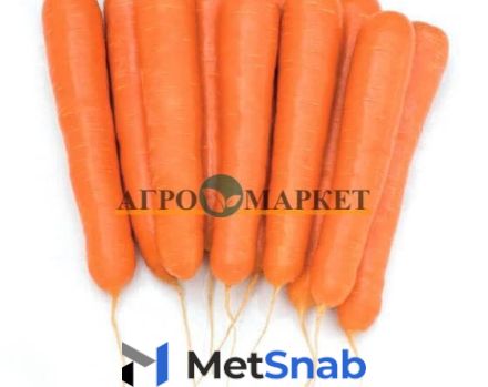 Морковь октаво F1 (500 000 семян) Vilmorin
